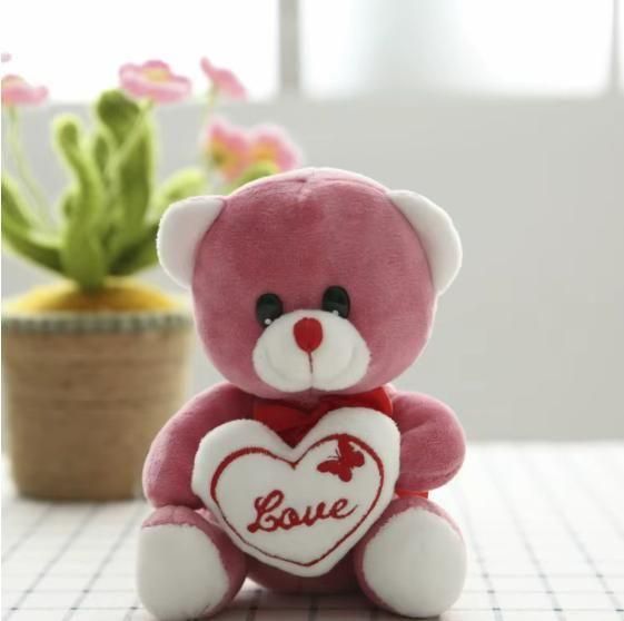 Love Quote Soft Teddy