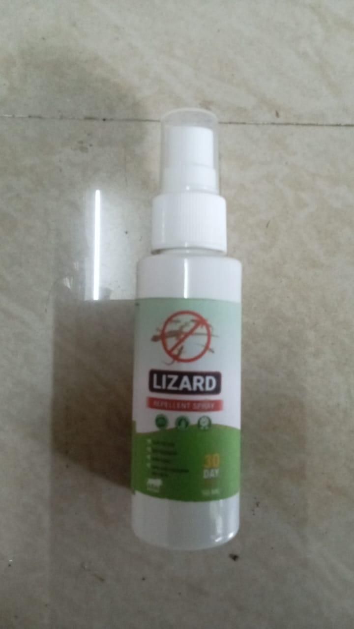 Lizard Spray Pack of 3 50ml Each